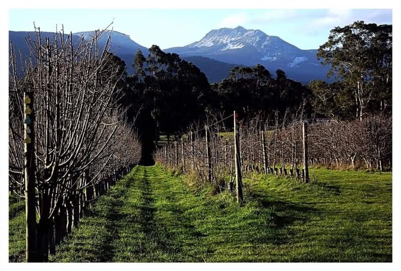Supporting Tasmanian producers