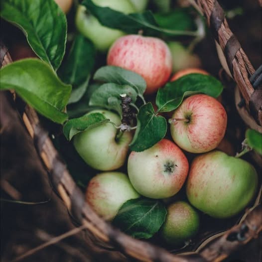 Winter apple crumble