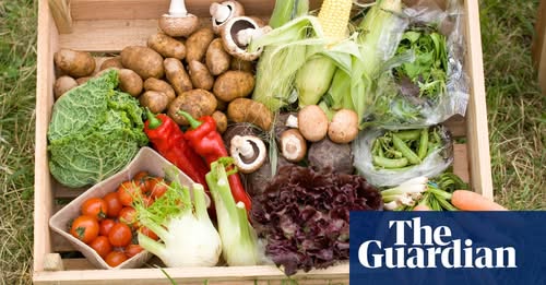 Veggie-box guide