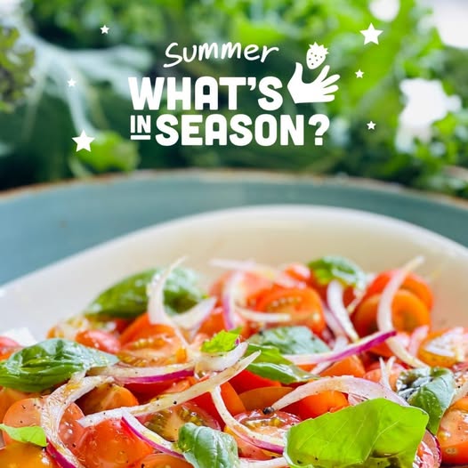Summer seasonal recipe collection