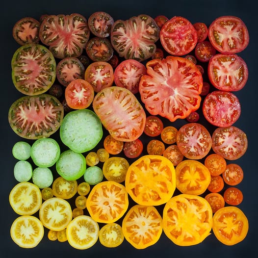 Tomato sauce to reduce food waste