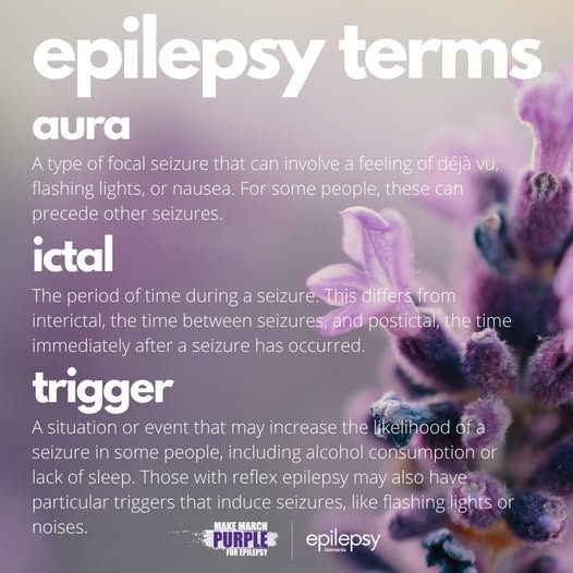 Explaining Important Epilepsy Terms