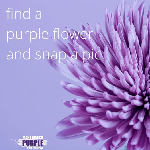 Finding Purple Awareness Inspiration