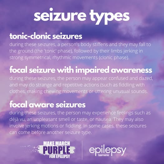 Learning Common Seizure Types