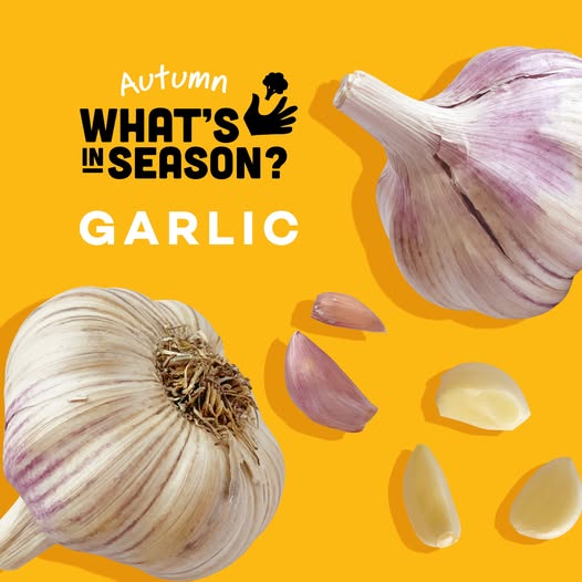 Garlic seasonal guide