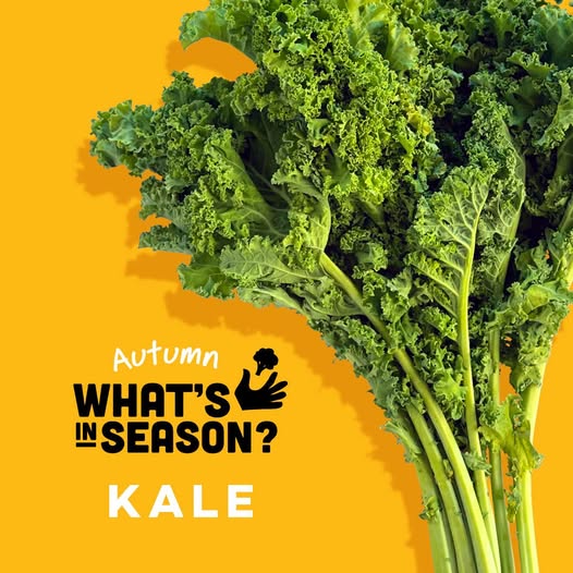 Kale autumn e-book