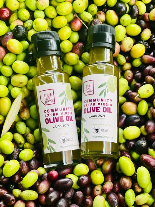 Community Press olive harvest
