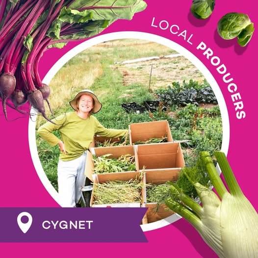 Early Bird Market Garden producer profile