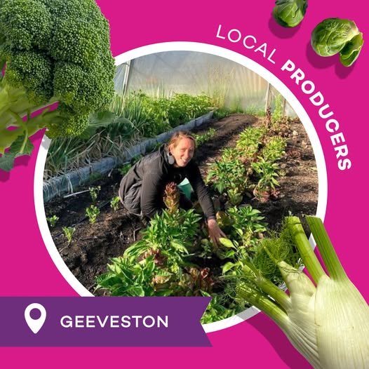 Scrubby Hill Farm producer profile and volunteer invitation
