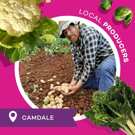 Young’s Vegie Shed producer profile