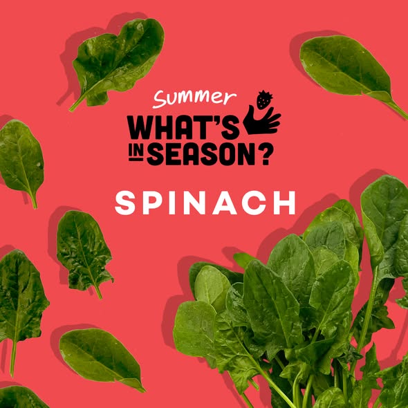 Summer spinach guide and e-book