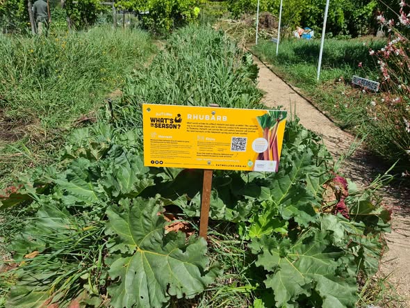 Community garden harvest plaques