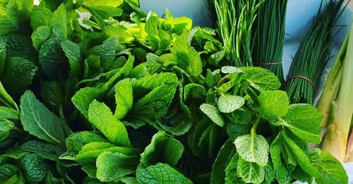 Tasmanian farmers markets and producers directory