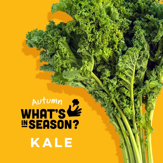 Autumn kale guide and recipes