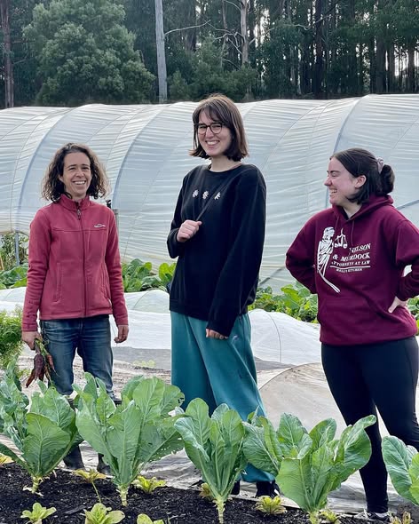 People Behind the Produce project