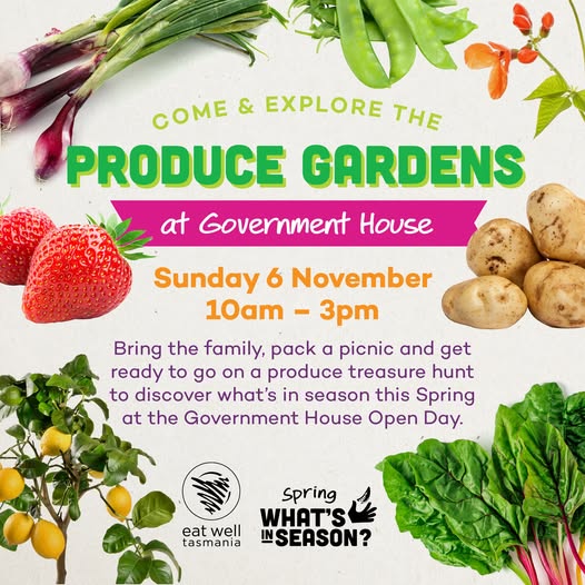 Government House Open Day cooking
