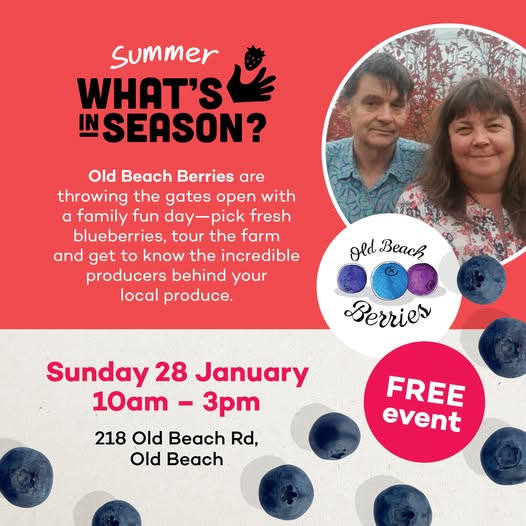 Blueberry farm picking event