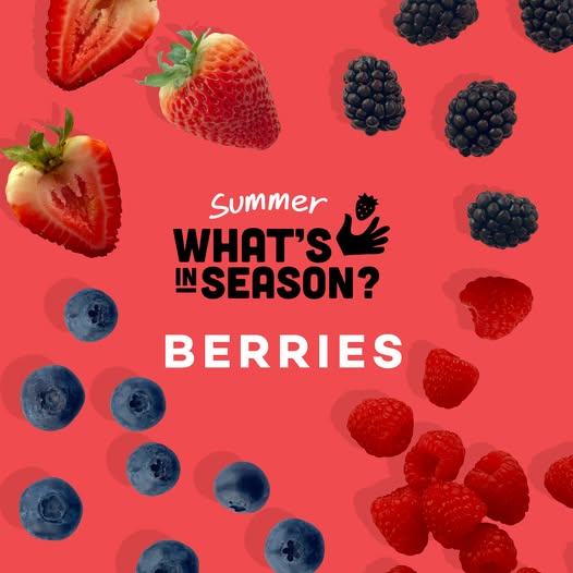 Tasmanian berry season guide