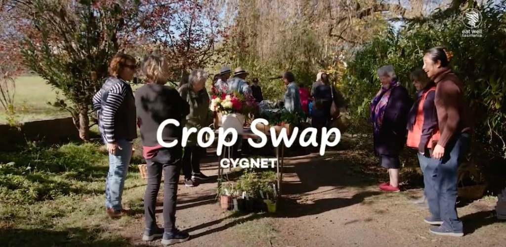 Cygnet Crop Swap Story