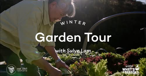 Sulyn’s Seasonal Garden and Cooking Story