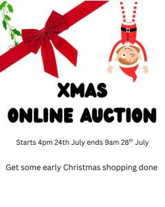 Christmas Auction Raises Funds Locally