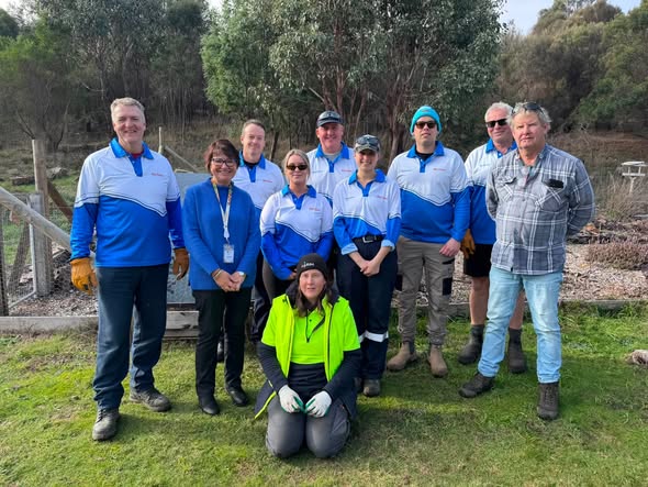 Volunteer Group Tends Outdoor Garden for Launceston Community Gathering