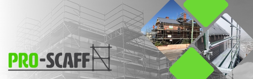 Pro-Scaff banner