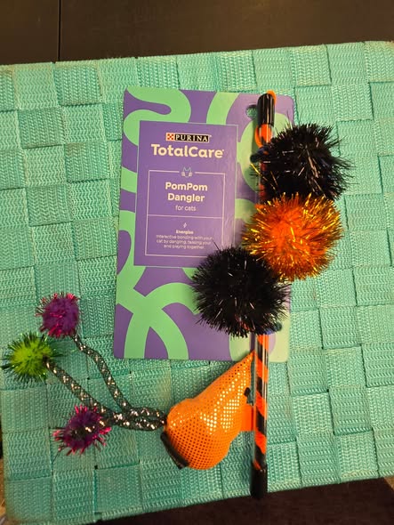 Affordable pet gifts support festive households