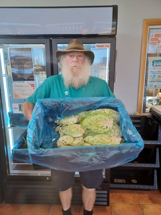 Twelve-Year Veggie Harvest Provides Fresh Produce for Launceston Families