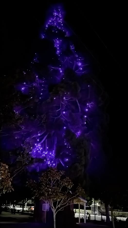 Community Supports Make March Purple