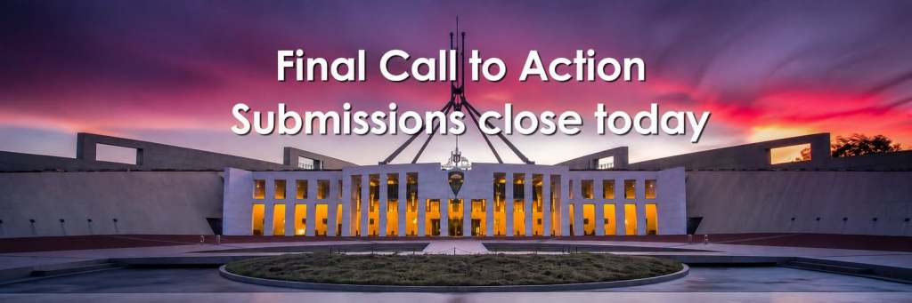 Tasmanian Voices in Epilepsy Senate Inquiry