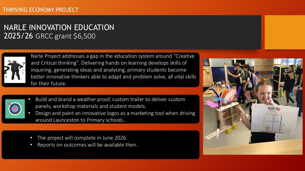 Narle Innovation Education — Creative Thinking for Primary Students
