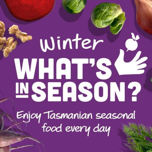 Winter seasonal newsletter