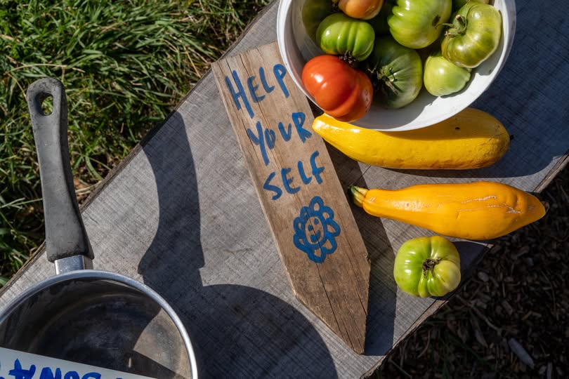 Primary Produce Safety consultation