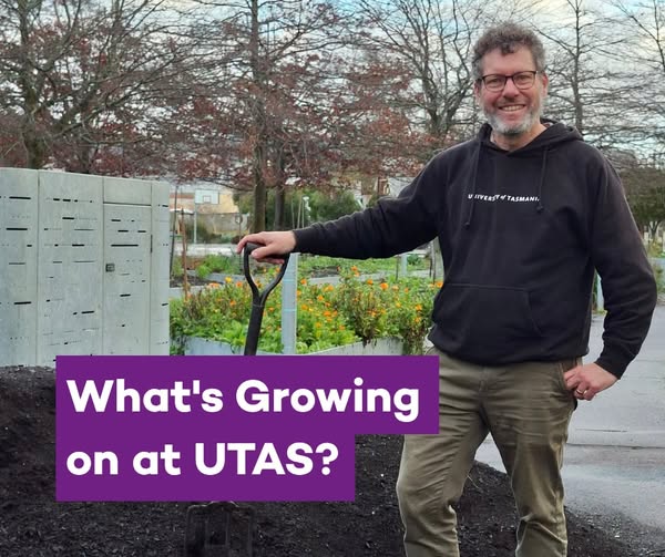 UTAS community food gardens story