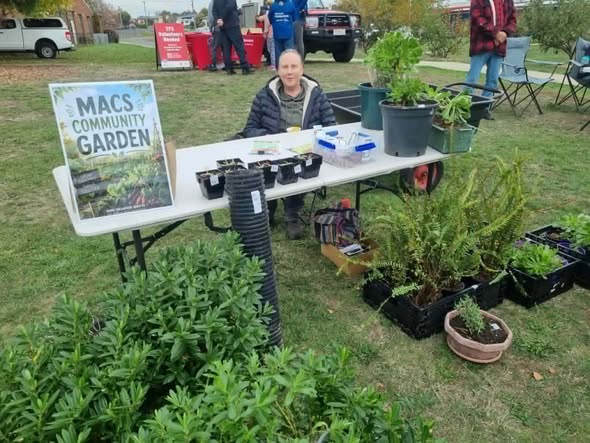 Hands-On Arts Stall Engages Locals at Launceston Community Market