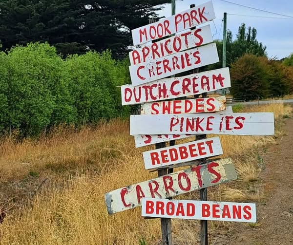 Choosing Local Supports Tasmania’s Food Supply